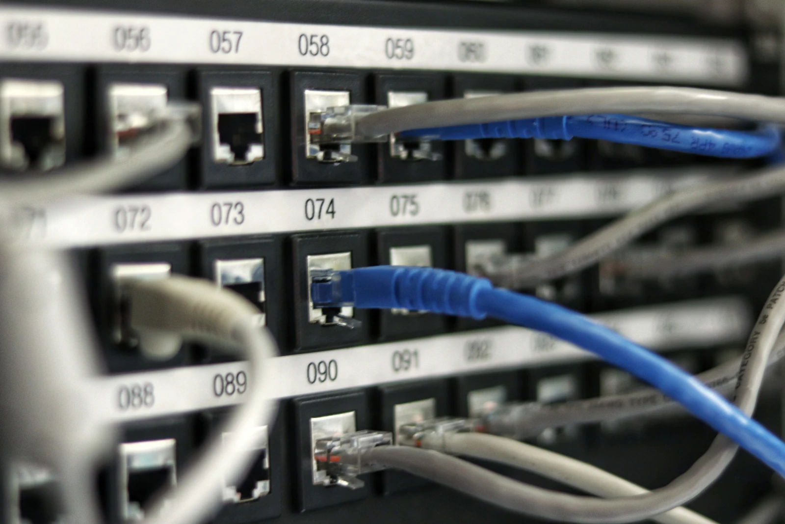 Rack de rede com cabos organizados e conectores identificados, representando infraestrutura sob controle